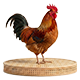 HillChicken-Category-Small-01