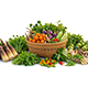 HillVeg-Category-Small-01